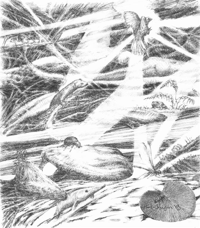 A pencil drawing of ducks in the water