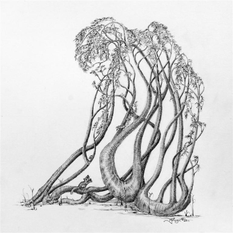 A drawing of trees with no leaves