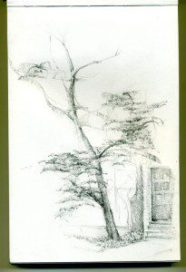 A pencil drawing of a tree and building