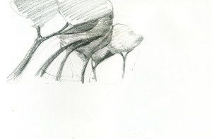 A pencil drawing of a tree trunk with leaves.