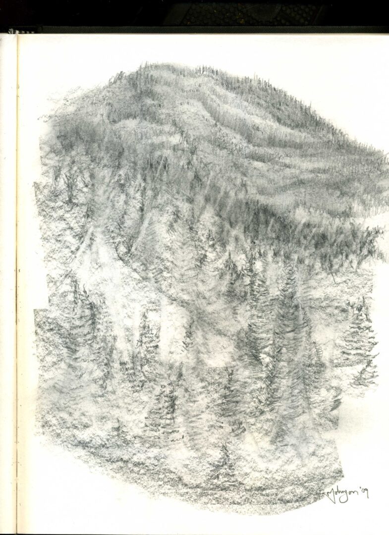 A drawing of trees and mountains in the distance.