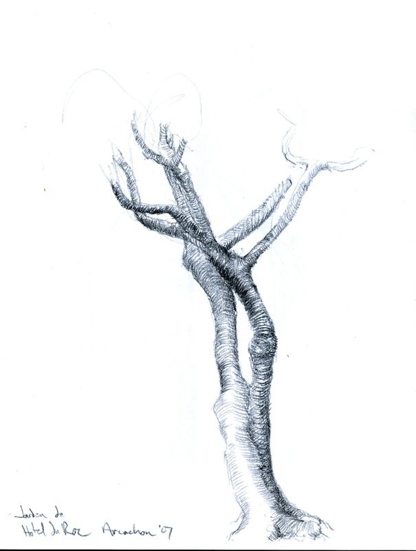 A drawing of a tree with branches on it