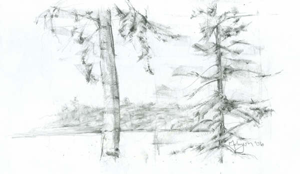 A pencil drawing of trees in the snow.