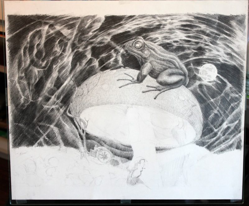 Detailed mushroom gill and toad study