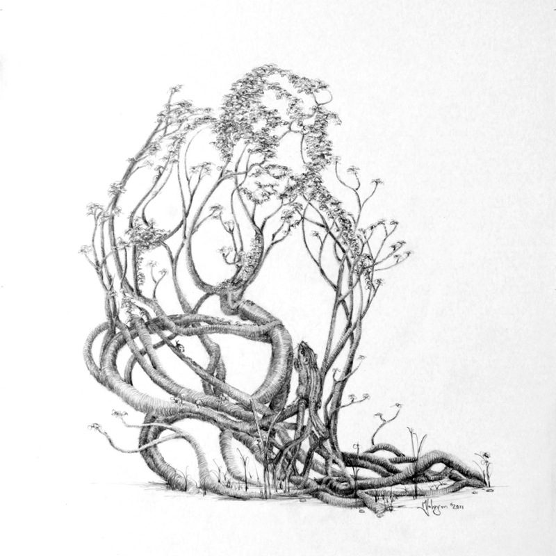 A drawing of a tree with branches and leaves.