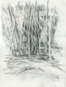 A pencil drawing of trees in the woods