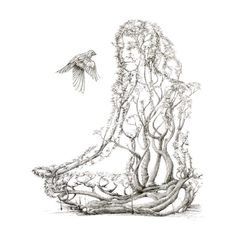 Lotus Dancer