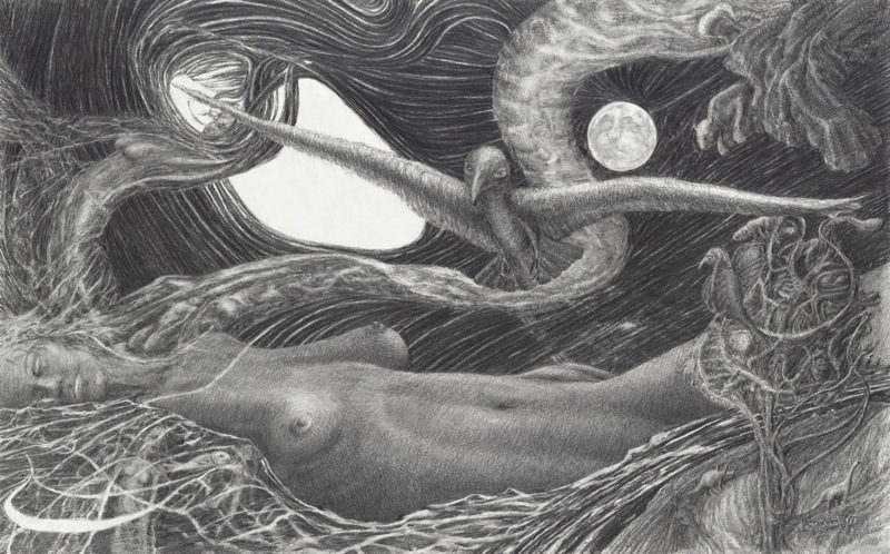 A drawing of an octopus and a whale in the ocean.