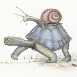 A turtle and snail are walking together.