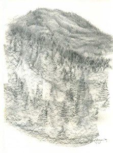 A drawing of trees and mountains in the distance.