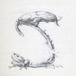 A drawing of a lizard and a frog