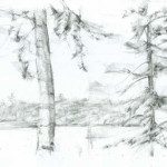 A pencil drawing of trees in the snow.