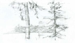 A pencil drawing of trees in the snow.