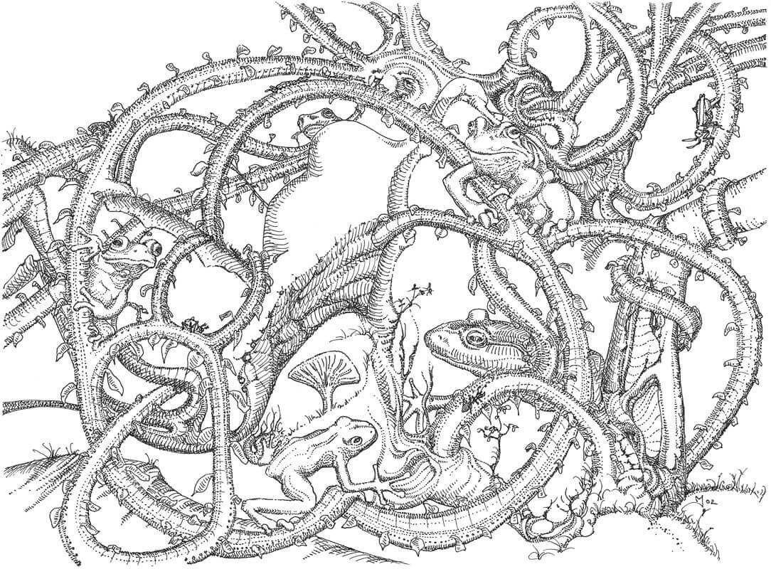 Frog Circle