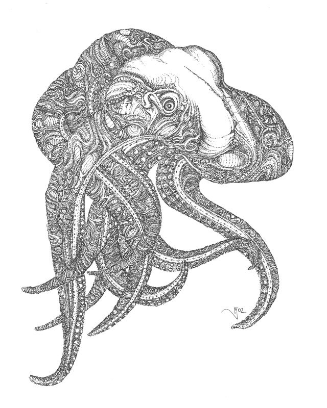 Octopus