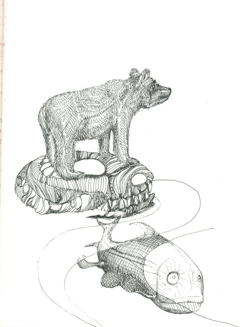 Bear and Fish