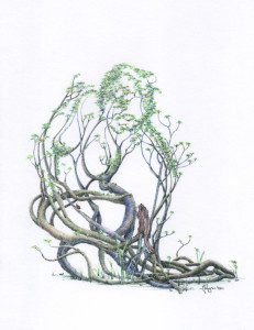 A drawing of a tree with green leaves