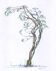 A drawing of a tree with leaves on it