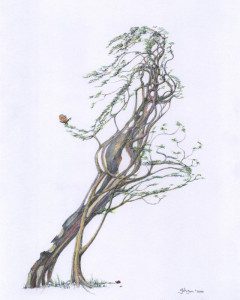 A drawing of a tree branch with leaves