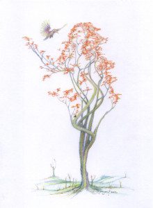 A drawing of a tree with orange flowers and a hummingbird flying.