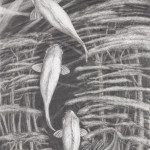 A pencil drawing of three fish swimming in the water.