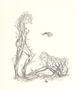 A pencil drawing of trees and bushes with a bird flying above.