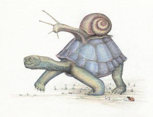 A turtle and snail are walking together.