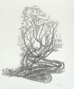 A drawing of a tree with branches and leaves.