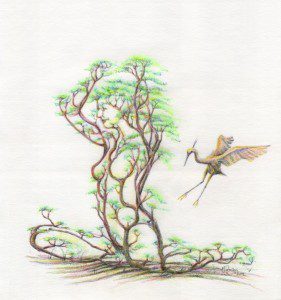 A drawing of a tree and bird