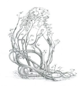 A drawing of a tree with branches and leaves.