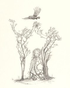 A drawing of a person sitting in the woods