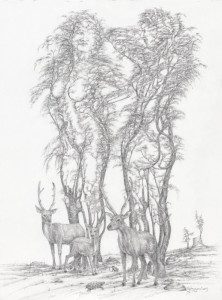 A pencil drawing of trees and deer