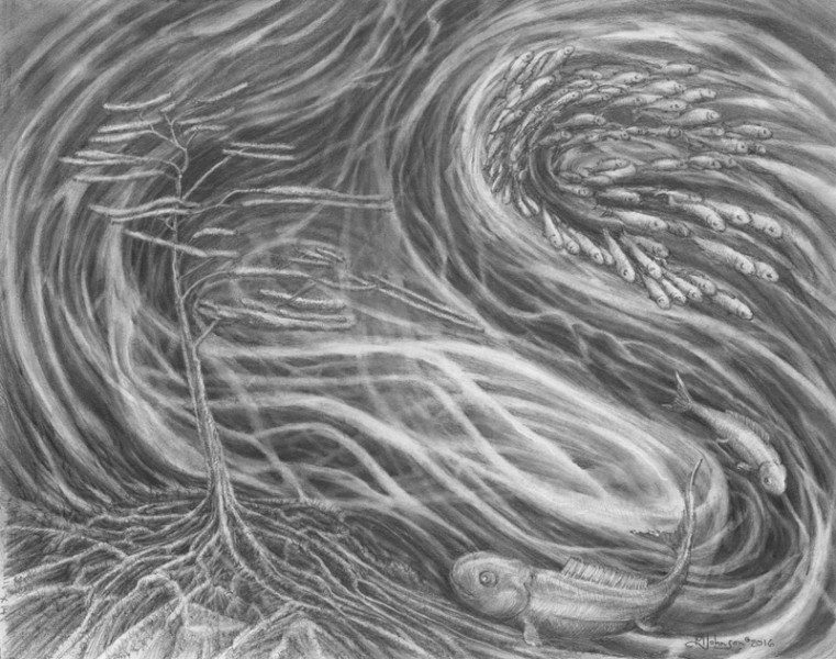 A drawing of a person in the water