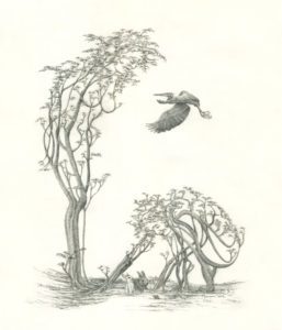 A pencil drawing of trees and birds flying over