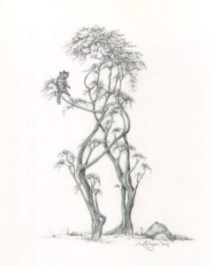 A pencil drawing of two trees with one tree sitting on top.