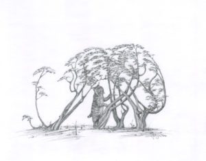 A pencil drawing of trees and a person