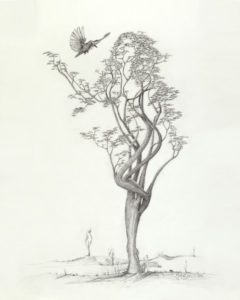 A pencil drawing of a tree with a bird flying above it.