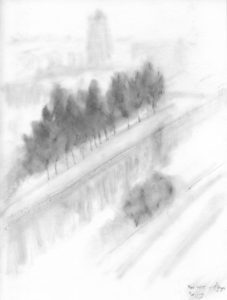 Misty tree-lined avenue seen from high window