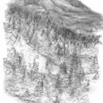 A drawing of trees and mountains in the background.