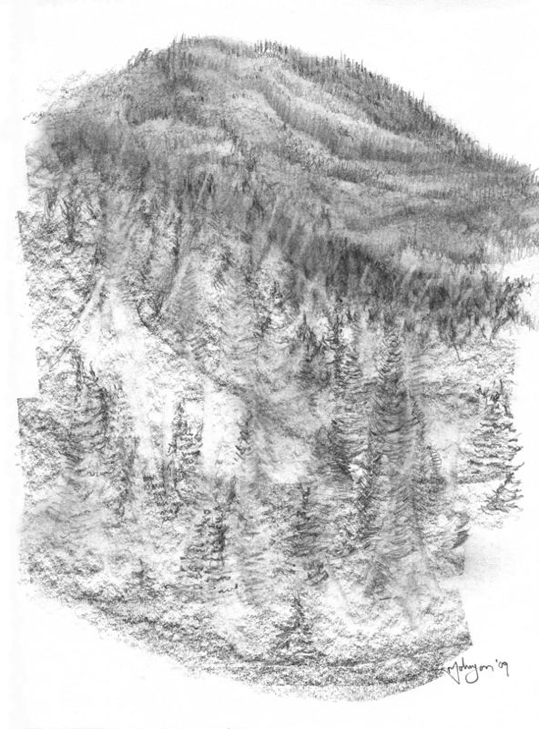 A drawing of trees and mountains in the background.