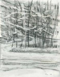 Killbear Camp 1 - graphite
