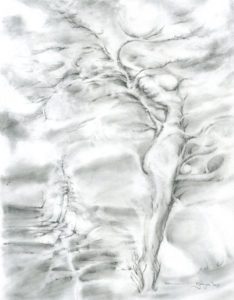 Metamorphasis 2015 - 8" x 11" pencil