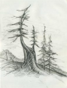 Lap Time - graphite