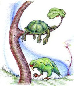 A drawing of two green turtles climbing on trees