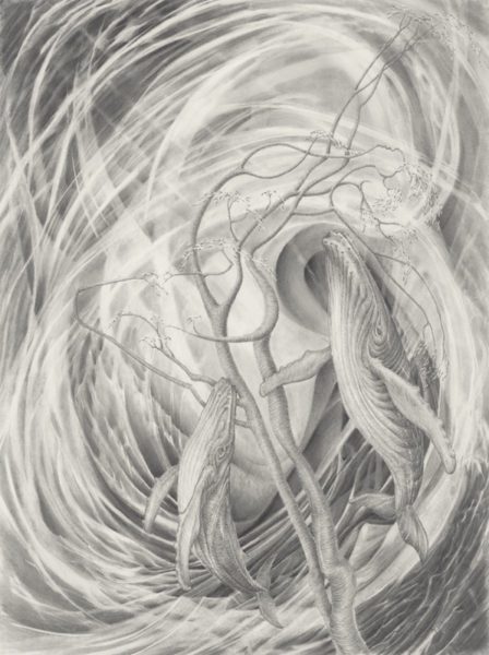 A drawing of an animal with long hair.