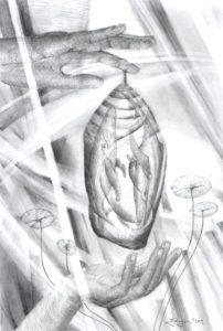 Chrysalis Concept 8"x12" graphite