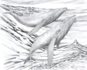 Layers Concept - Whales have swam through that once-beenConcept drawing: Layers of Time, Water over Land. water, changed themselves from land to water beasts over that time.