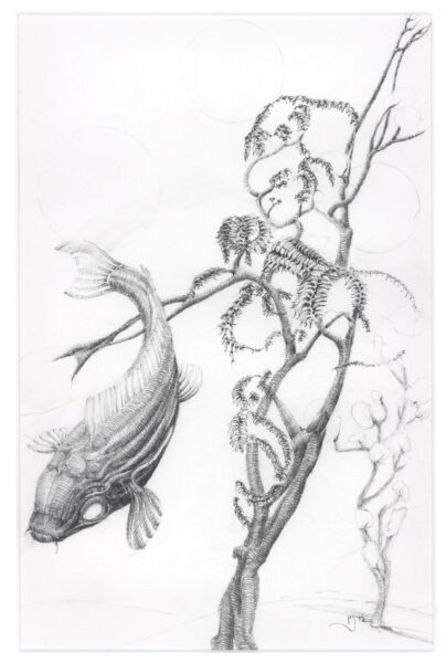 Concept Koi & Tree Dancer ; pencil