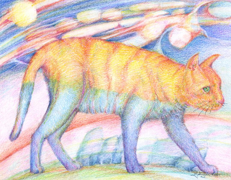 Cat *sold ; 10"x8" colour pencils & marker drawing
