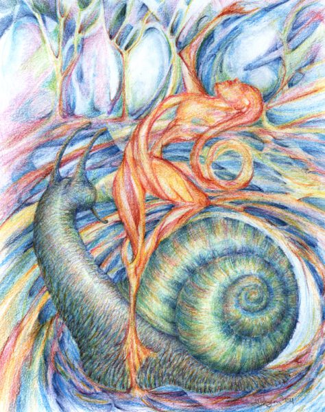 Snail ; 8"x10" colour pencils & marker drawing